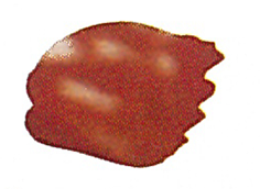 Couleur «&nbsp;Ocre rouge&nbsp;»